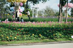 BIB: 
                            <button type="button" onclick="openModal(27609007)" class="btn btn-primary btn-sm float-right btn-popup" data-toggle="modal" data-target=".modal-high-quality">
                        <i class="fas fa-shopping-cart"></i> Add to Cart
                    </button>
                                            <button type="button" onclick="isThisMe(27609007, true)" class="btn btn-success btn-sm float-right btn-popup btn-isme hidden" data-toggle="tooltip" data-placement="bottom" title="นี่คือรูปของคุณใช่ไหม คลิกที่นี่เพื่อเอาเข้าอัลบั้ม">
                        <i class="fas fa-plus"></i> Add to album
                    </button>
                    <button type="button" onclick="isThisMe(27609007, false)" class="btn btn-warning btn-sm float-right btn-popup btn-isnotme hidden">
                        <i class="fas fa-ban"></i> Remove from album
                    </button>